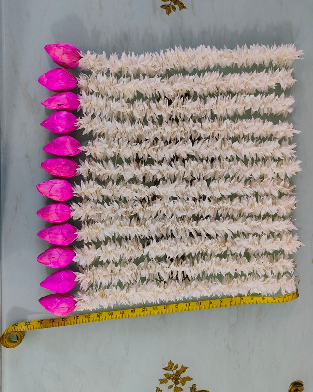 img20220929101514_391fe22e-b97a-4184-b906-21ab2493d512-4x