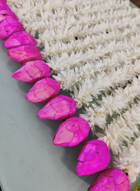 img2022092910155101_e0f999c4-7196-4443-b6b5-0404dea04b4b-4x