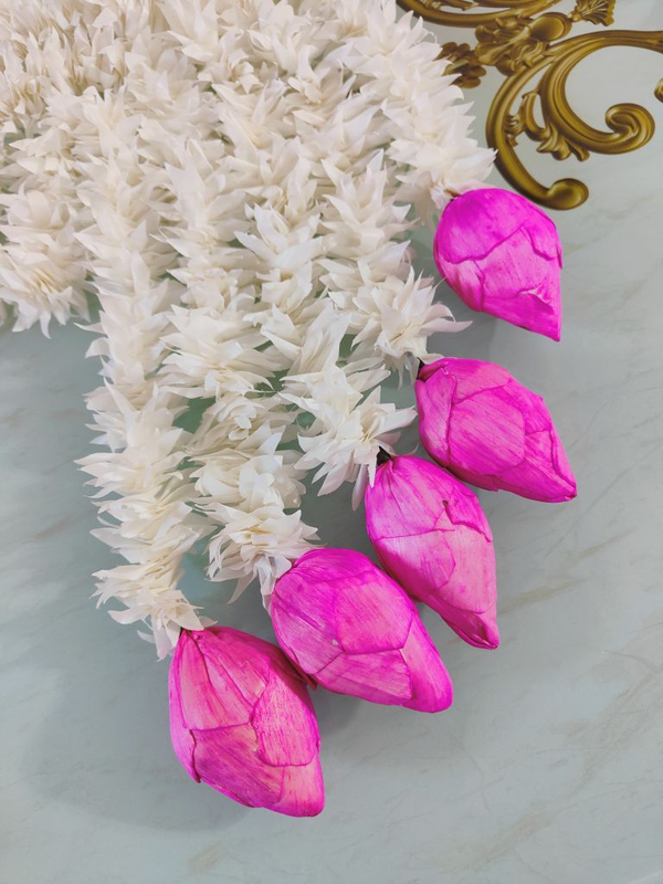 Lotus Buds Wall Hangings