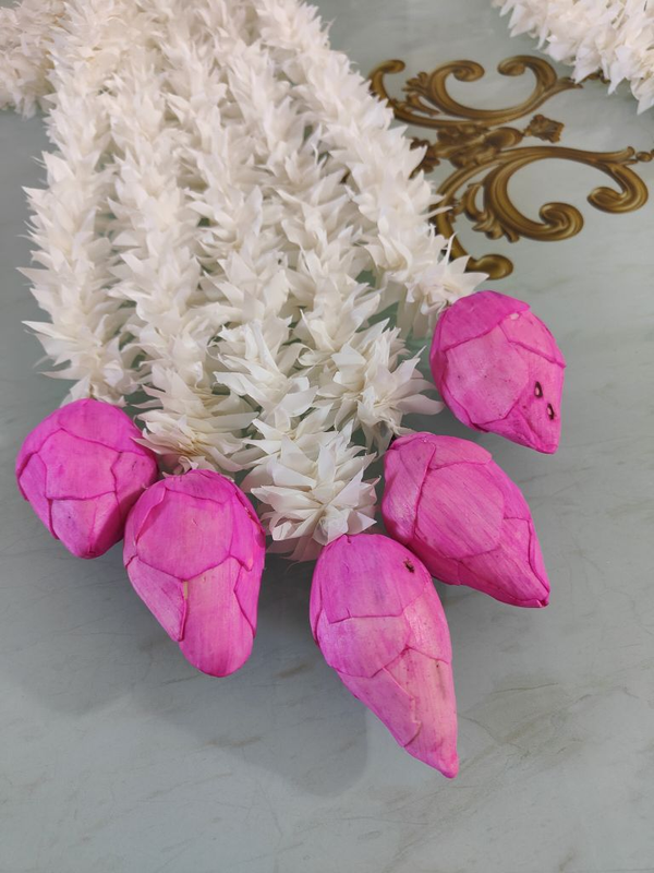 img2022092910264801_8b1ad875-7c7b-4b9b-8eee-26d77732b87f-4x