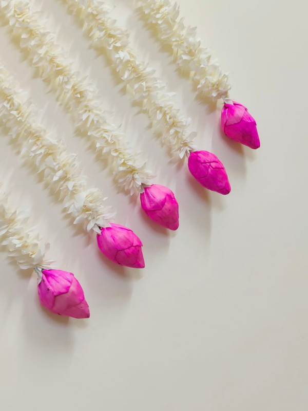 img20220929214355_430a2c01-f046-4702-86b4-a3e1783937a2-4x