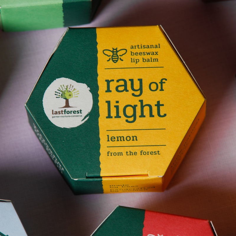 lemon-4_7334acc2-0259-41d5-a458-c66baccf7b28-4x